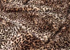 San Diego Safari  image 1