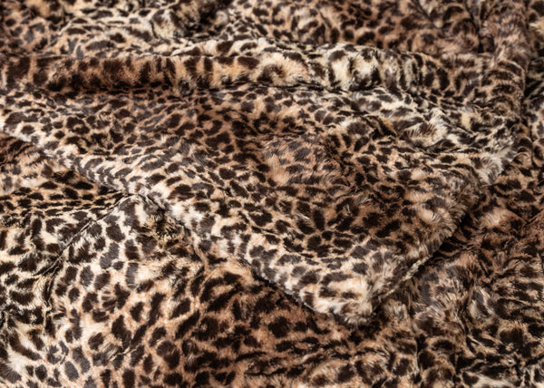 San Diego Safari  image 1