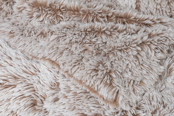 San Francisco Shag image 1