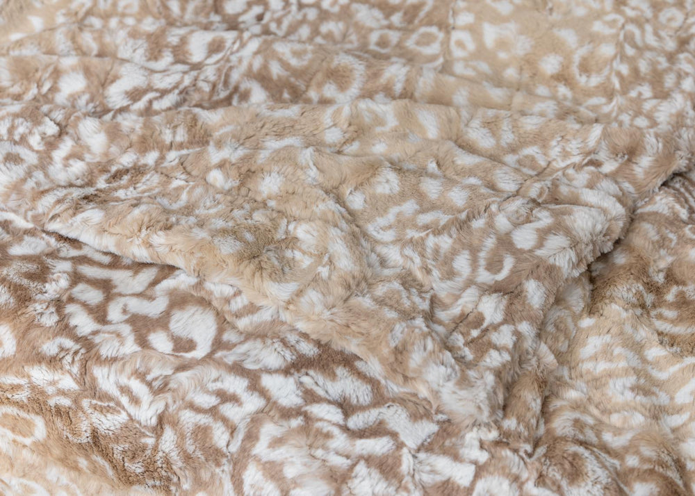 San Diego Safari  image 3