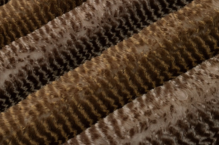 Tahoe Tranquility image 0