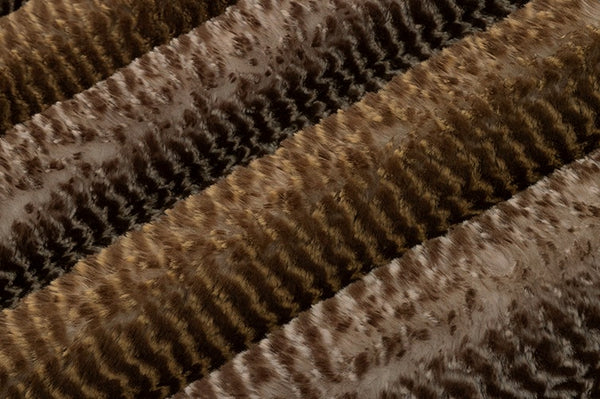 Tahoe Tranquility image 1