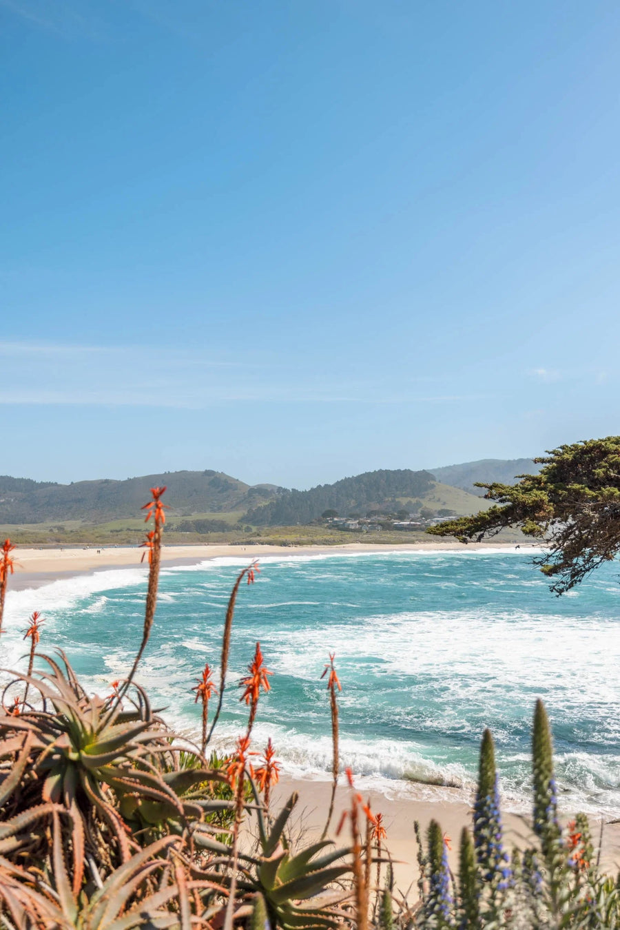 CARMEL