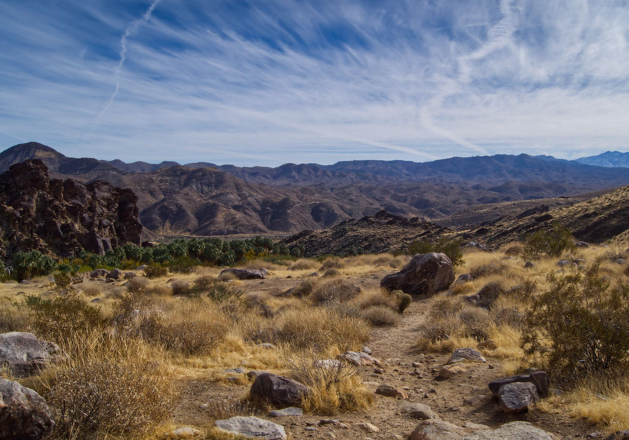 Indian Canyons & Fan Palm Oasis