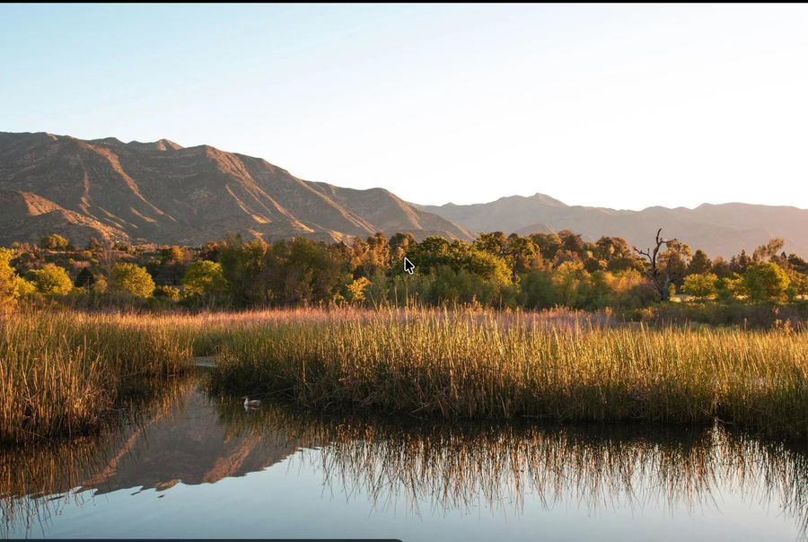 Ojai Meadows Preserve