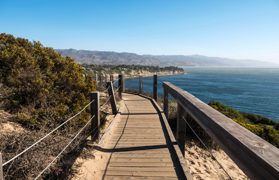 Point Dume Bluff Trail