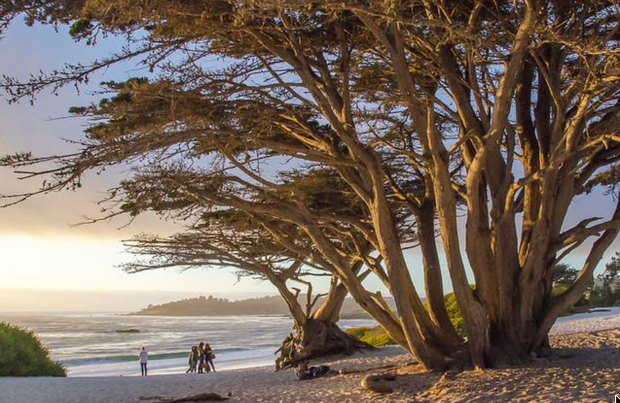 Carmel Beach
