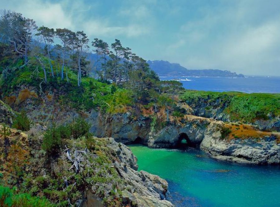 Point Lobos State Natural Reserve