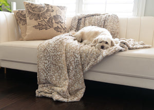 San Diego Safari  image 5