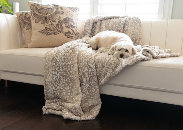 San Diego Safari  image 5